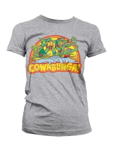 Teenage Mutant Ninja Turtles Shirt in Grau