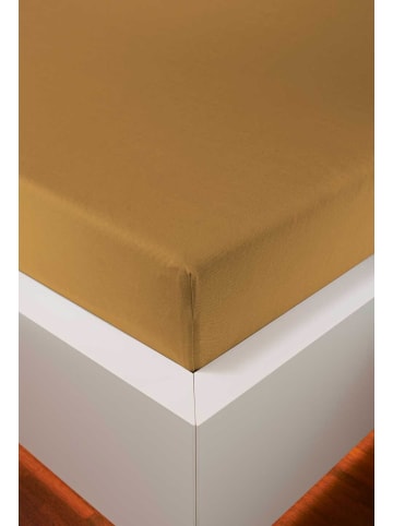 bellana jersey Spannbetttuch Nobel-Jersey  Elasthan Spannbetttuch in curry