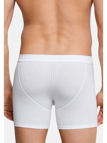 Schiesser Retro Short / Pant Cotton Essentials Authentic in Weiß