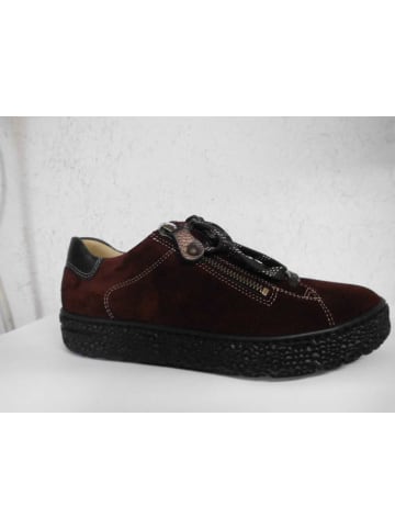 Hartjes Komfort Schnürschuh in bordeaux