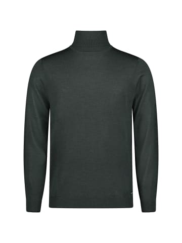 Roy Robson Strickrollkragenpullover Mit Rollkragen in DUNKELGRÜN