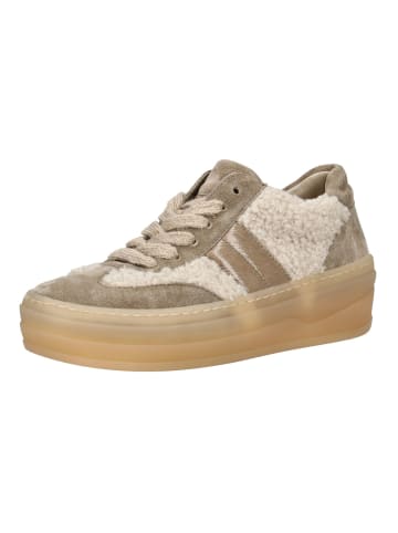 Gabor Sneaker in Beige/Braun