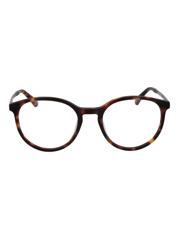 Hackett London Herren Optische Fassungen Panto Braun
