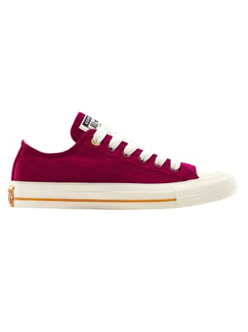 Converse Sneaker in Beere