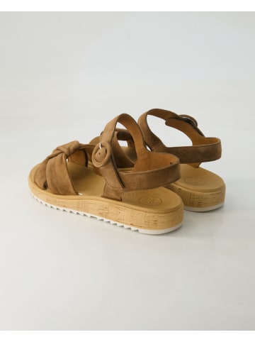 Paul Green Sandalen in Braun