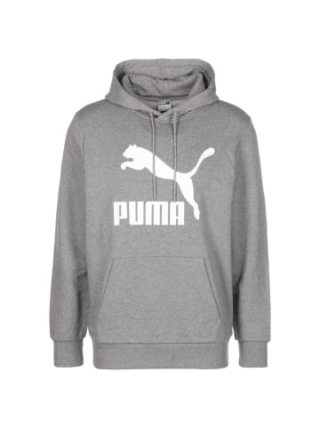 Puma Hoodie Classics Logo in grau / weiß