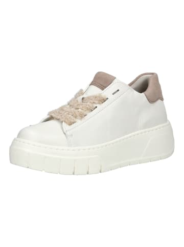 Gabor Sneaker in Latte