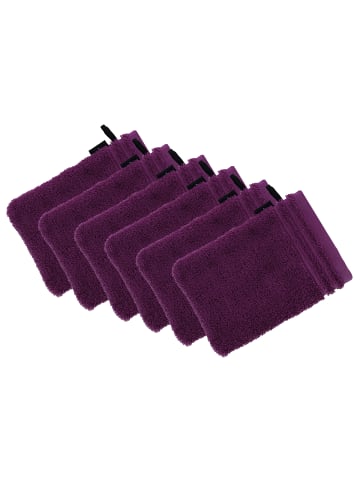 Vossen 6er Pack Waschhandschuh in purple