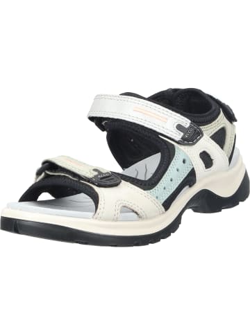 Ecco Outdoor-Sandalen in multicolor