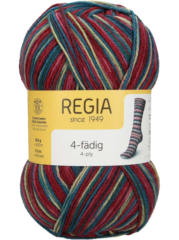 Regia Handstrickgarne 4-fädig Color, 100g in Schneeanzug