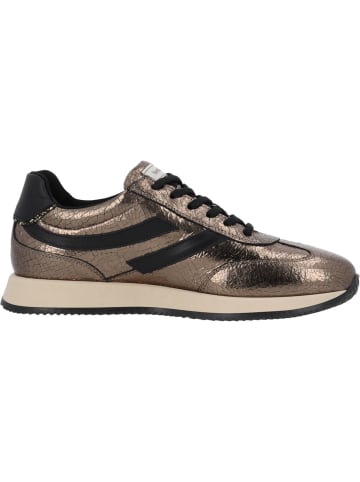 Nero Giardini Schnürschuhe in braun