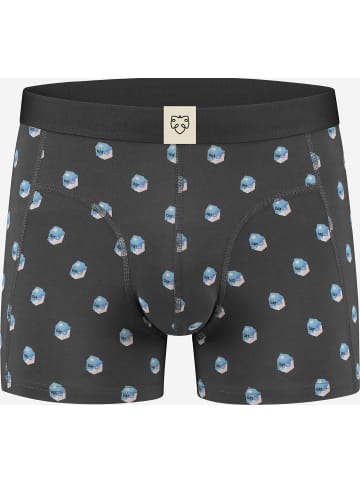 ADAMO Boxershorts für Herren in anthrazit