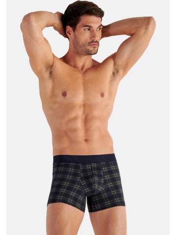 HOM Retro Short / Pant Sid in Navy check