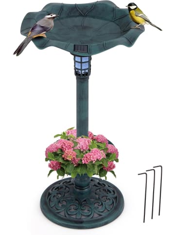COSTWAY Vogeltränke mit Solarleuchte in Grün
