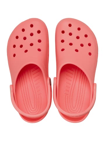 Crocs Classic in Rose403