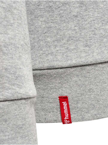 Hummel Hummel Kapuzenpullover Hmlred Multisport Damen in GREY MELANGE