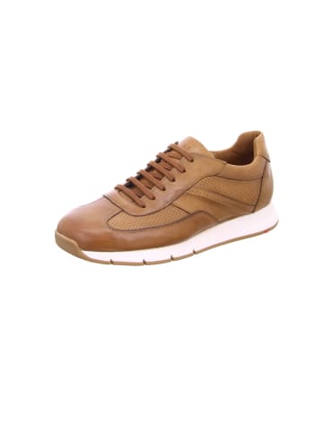 LLOYD Sneaker für Herren in camel