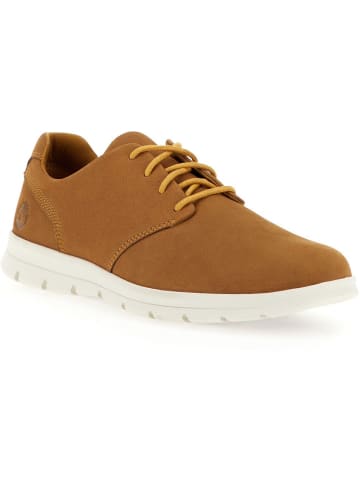 Timberland Sneaker "Low Lace Up Sneaker" in Beige