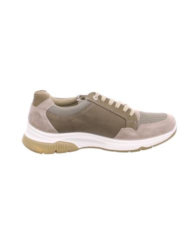 ara Sneaker für Herren in taupe