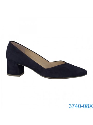 Paul Green Pumps  in Blau