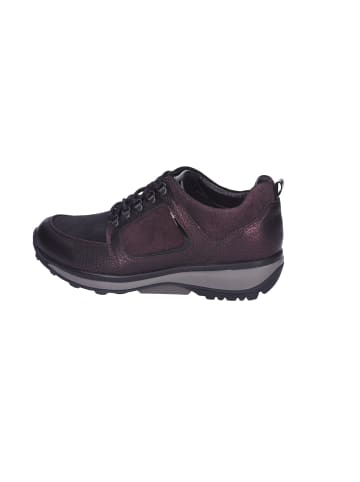 Xsensible Komfort Schnürschuhe in Braun