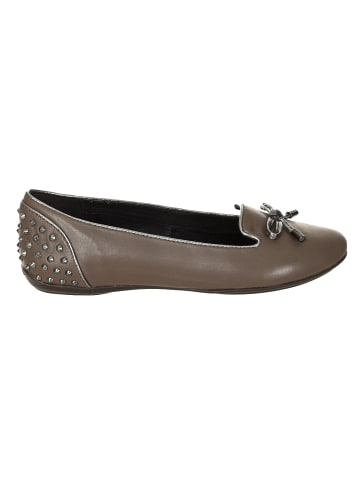 Geox Ballerinas in Brown
