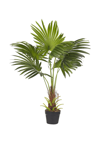 Beliani Kunstpflanze FAN PALM in Grün/Schwarz - (W) 35 x (H) 100 x (L) 30 cm