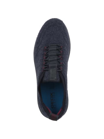 Geox Sneaker low U Spherica B in blau