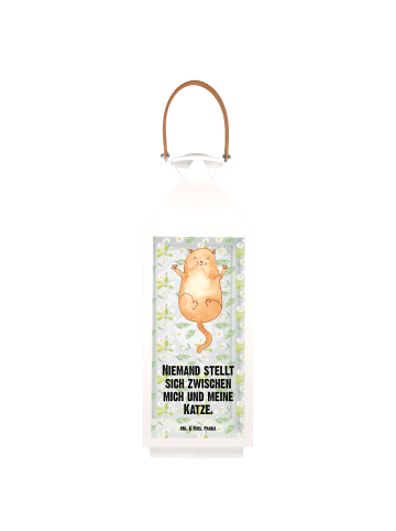 Mr. & Mrs. Panda Laterne Katze Umarmen mit Spruch in Transparent