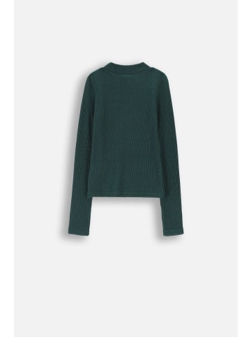 Coccodrillo Strickpullover in grün