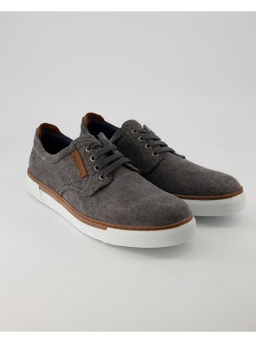 Pius Gabor Sneaker low in Grau