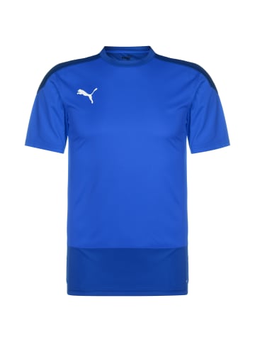 Puma Trainingsshirt teamGoal 23 in blau / dunkelblau