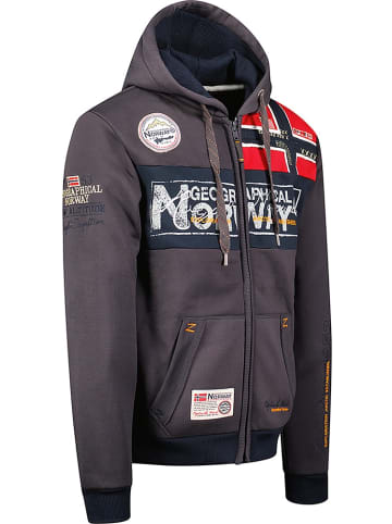 Geographical Norway Hoodie "Flyer  Men 251" in Grau