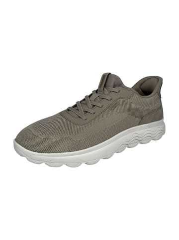 Geox Sportliche Schnürschuhe in Beige