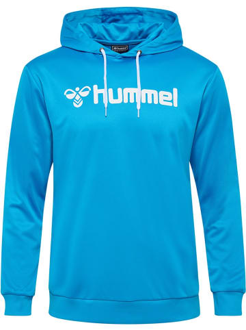 Hummel Hoodie in Blau