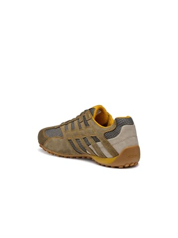 Geox Sneaker in oliv