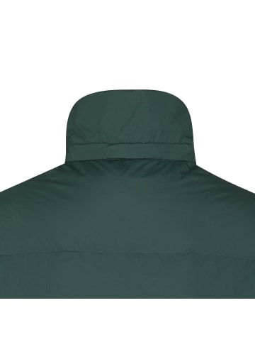 adidas adidas Winterjacken in mineral green/magic beige