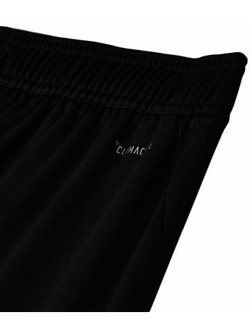 adidas Kurze Hose für Jungen in kombi