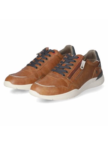 Mustang Schnürhalbschuh in brown