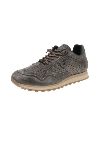 Cetti Sneaker low C-848 EXP INV25 in Grau
