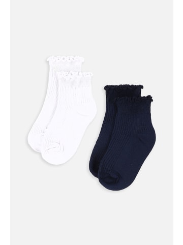 Coccodrillo Socken in bunt