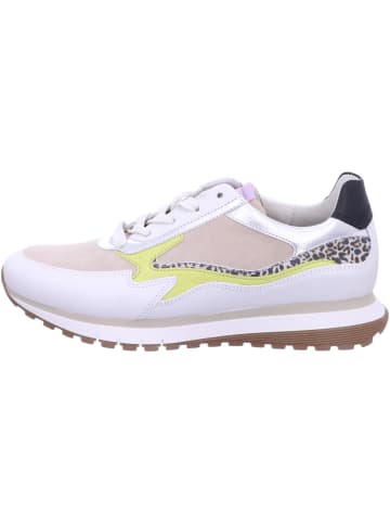 Gabor Comfort Sneaker Low in beige