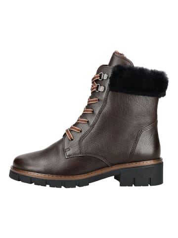 ara Stiefelette DOVER-STF Braun/Schwarz