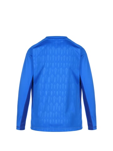 adidas Performance Fußballtrikot Tiro 23 in blau / weiß