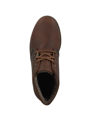 PANAMA JACK Schnürboots Bota Panama Igloo in braun