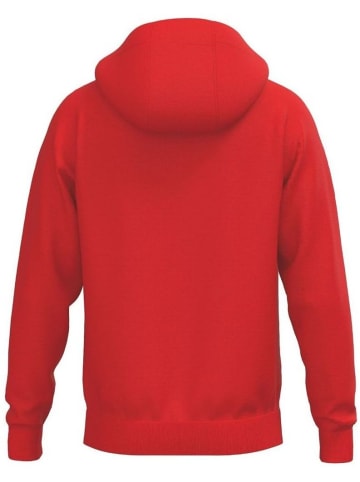 erima Kinder Hoodie "Cmpt Wings" in Rot