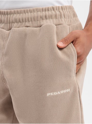 PEGADOR Shorts Lagos in kitt