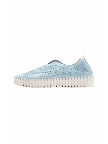 Ilse Jacobsen Sneaker TULIP3373 in Ash Blue