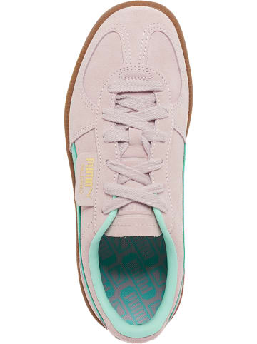 Puma Puma Palermo in rose