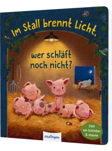Esslinger Buch - Im Stall brennt Licht, wer schläft noch nicht?